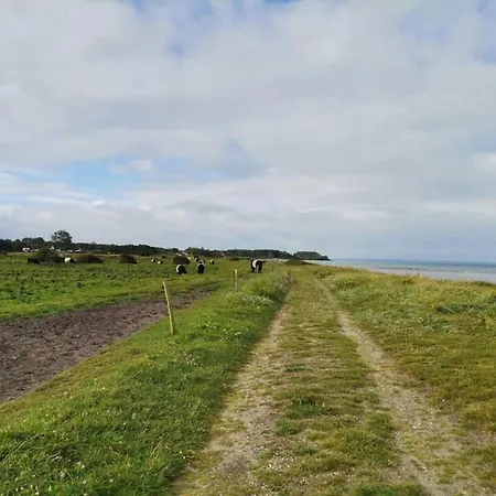 Casa de Férias 6 Person In Nordborg-by Traum