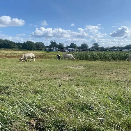 6 Person In Nordborg-by Traum Holiday home Nordborg